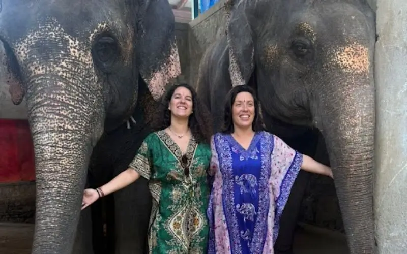 Elephant Experiences in Jaipur: Ethical Ways to Meet and Interact with Elephants