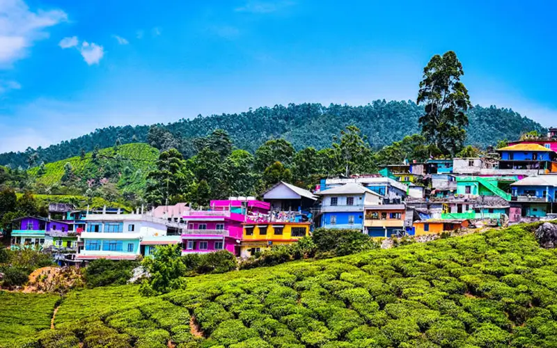 South India Group Tour Packages