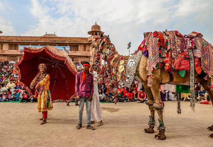 Bikaner Camel Festival