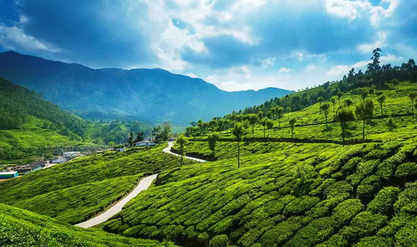Luxury Kerala Tour: Hills, Wildlife & Backwaters